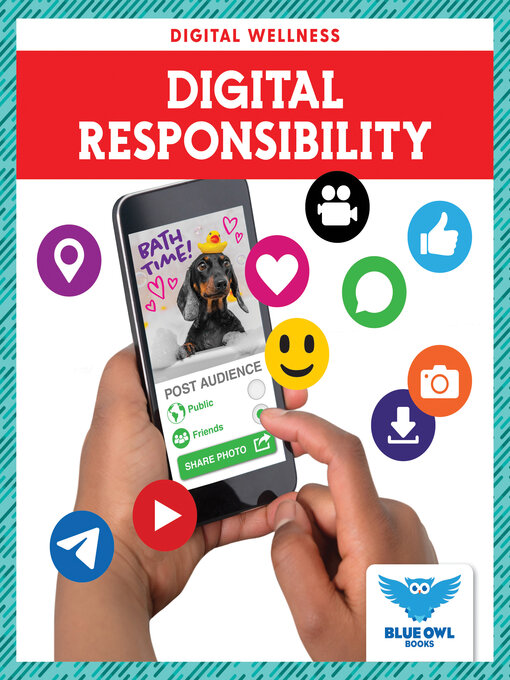 Cover image for Digital Responsibility